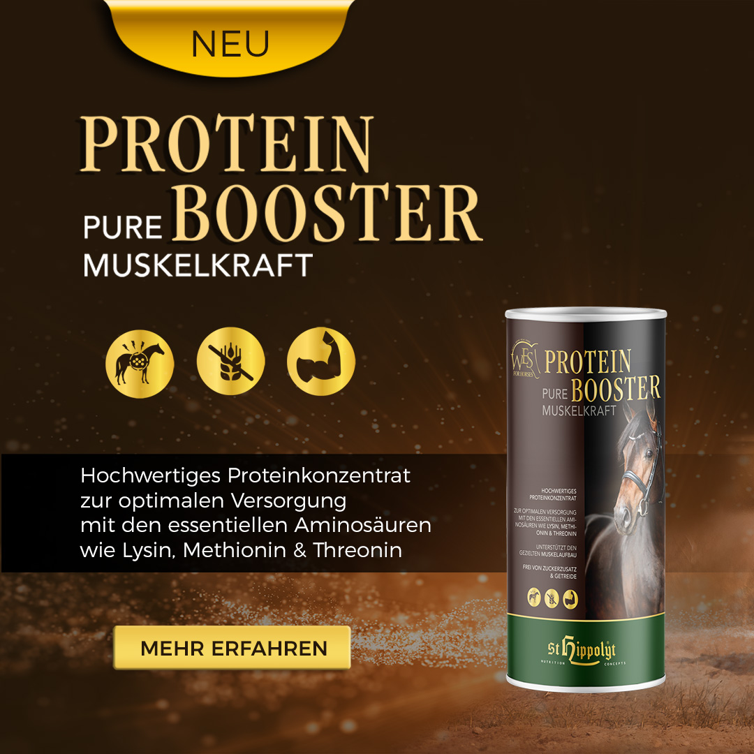 protein Booster