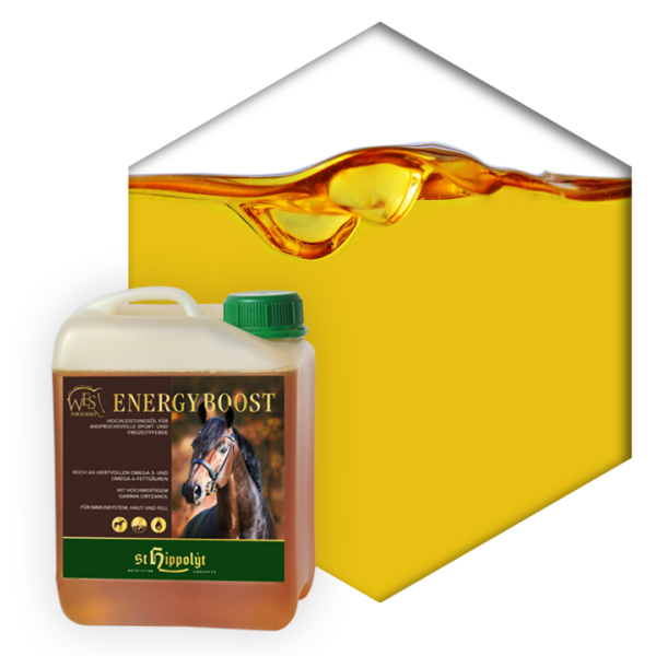 WES ENERGY BOOST WES FOR HORSES