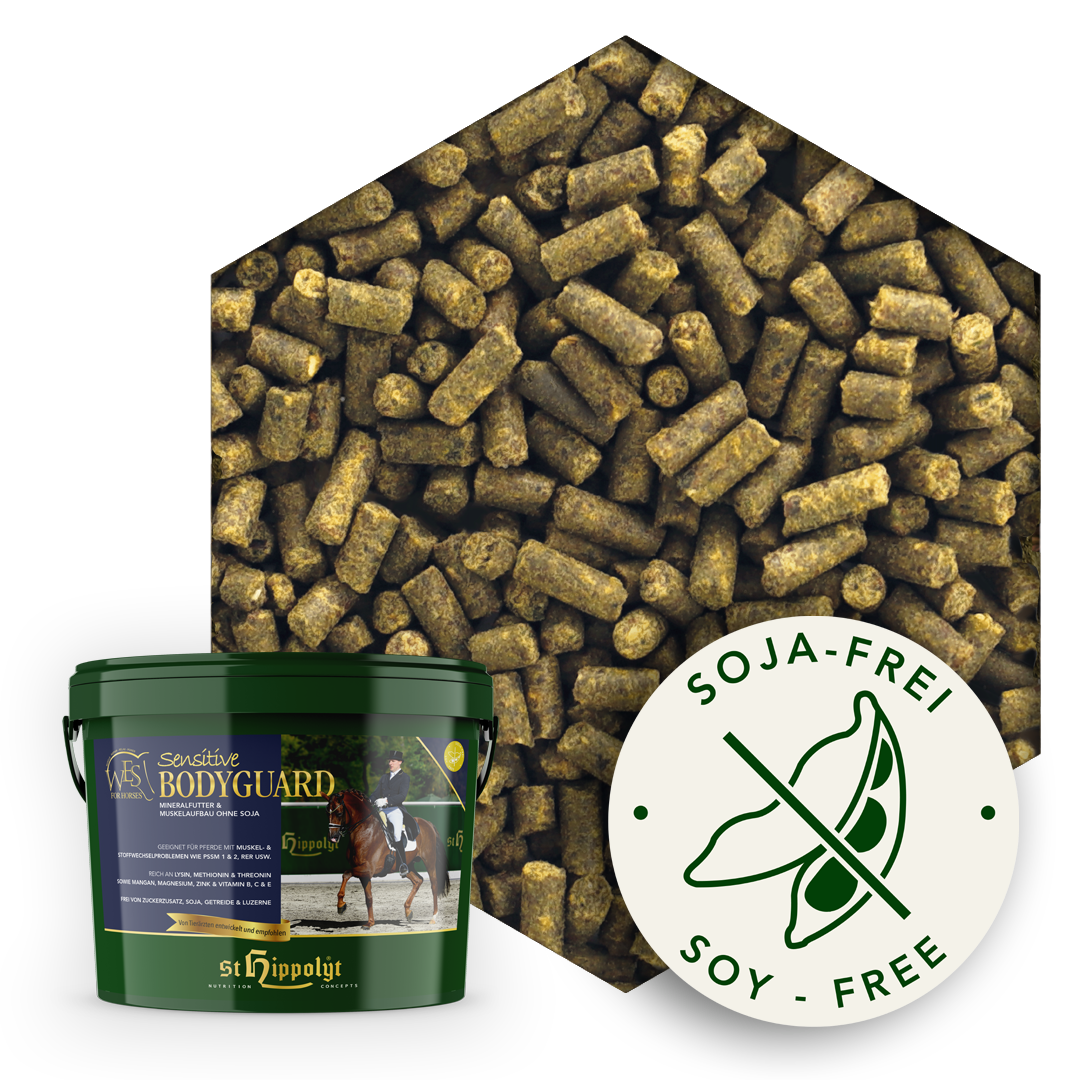 WES-Sensitive-Bodyguard