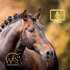 EQUINE MYOPATHIEN – PSSM und PSSM 2