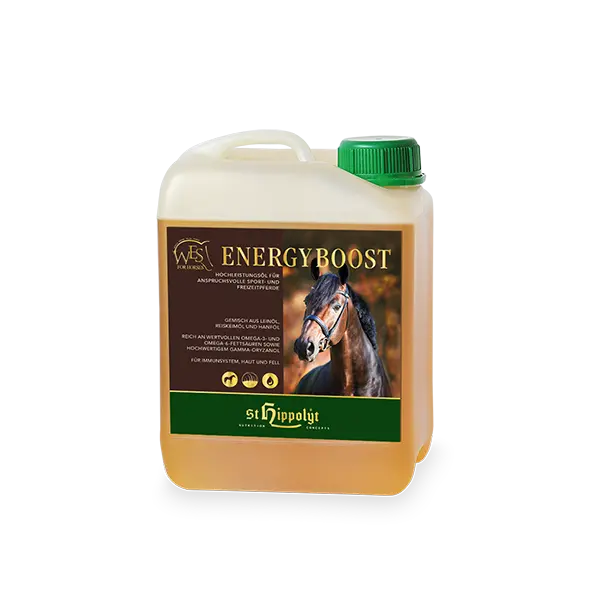 WES_Energy Boost_KANISTER_VS_Schaubild_WEB